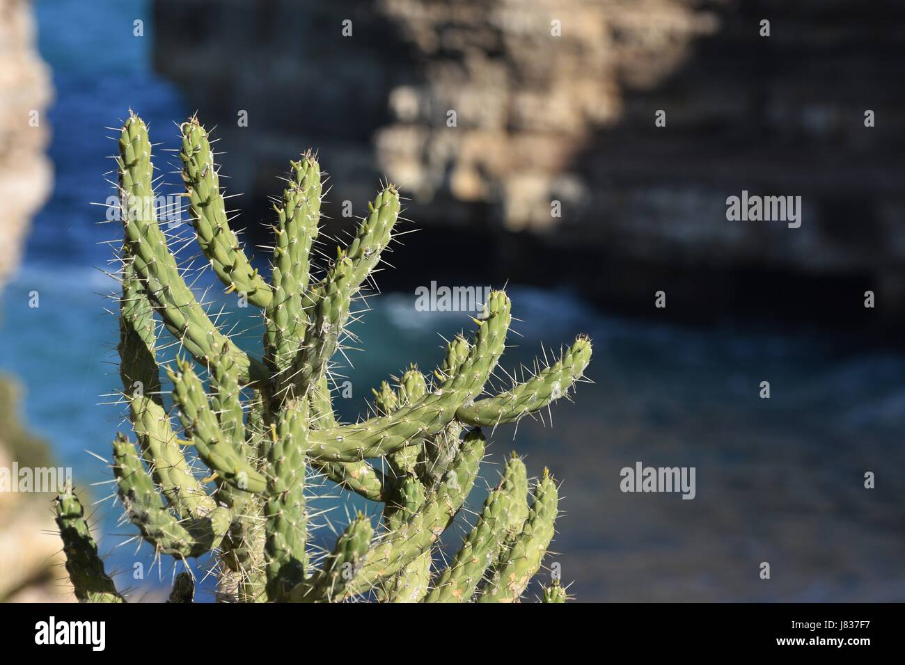 Polignano a Mare, Puglia, Italia Foto Stock