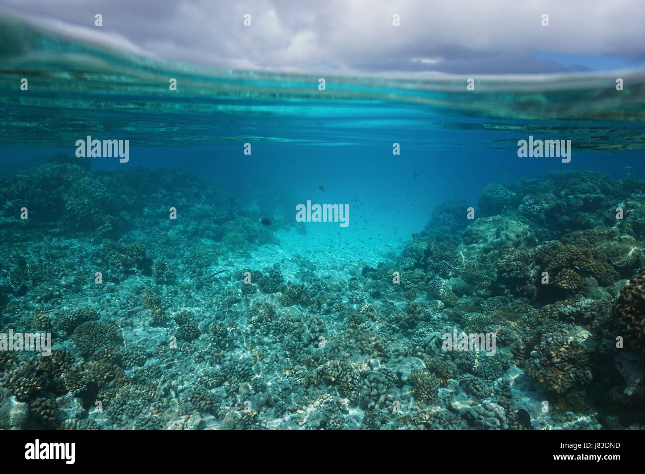 Underwater seascape shallow Coral reef e cielo nuvoloso diviso dalla linea di galleggiamento, laguna di Rangiroa, Tuamotus, oceano pacifico, Polinesia Francese Foto Stock