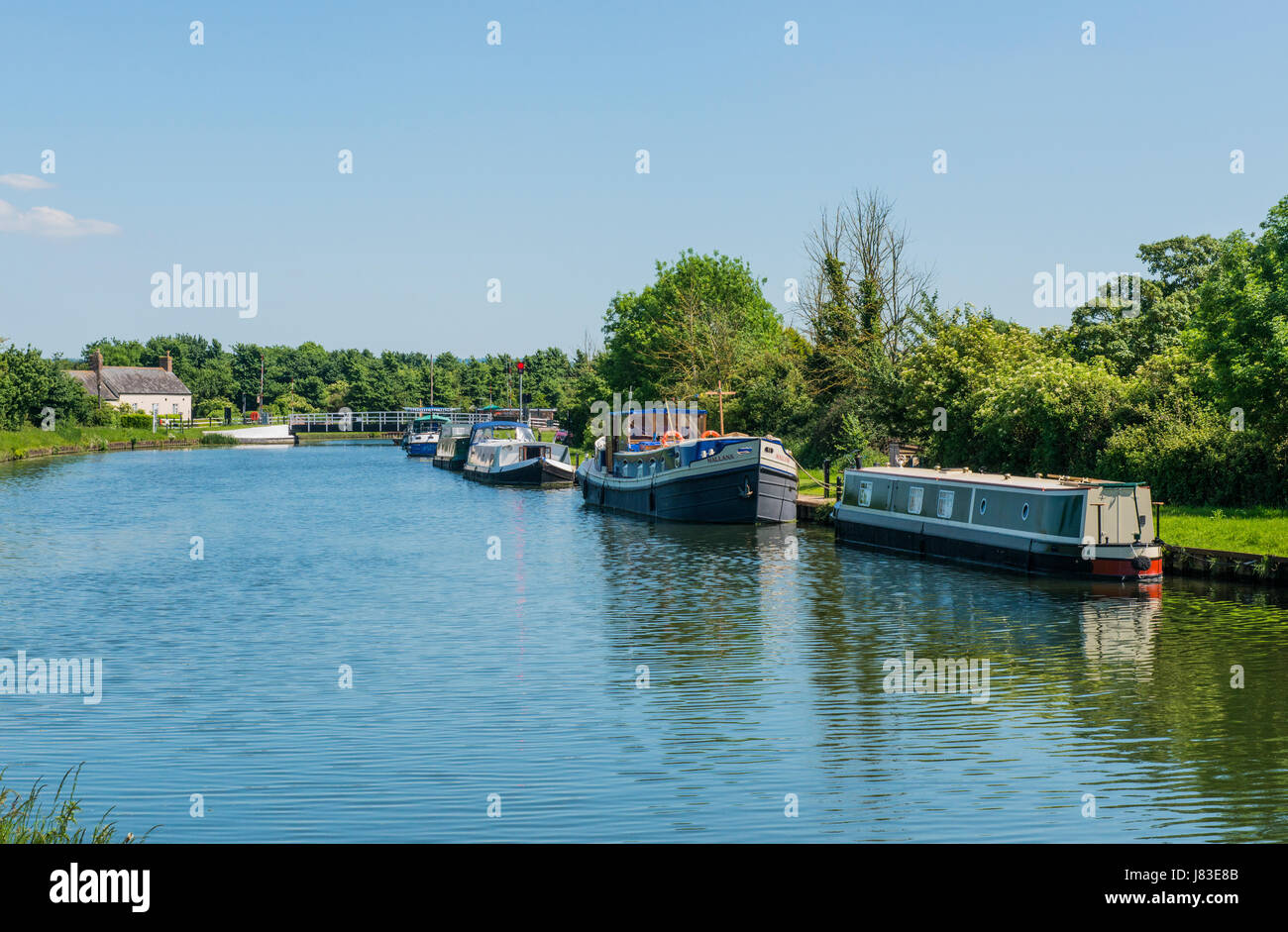 Il Gloucester e Nitidezza Canal Gloucestershire Foto Stock