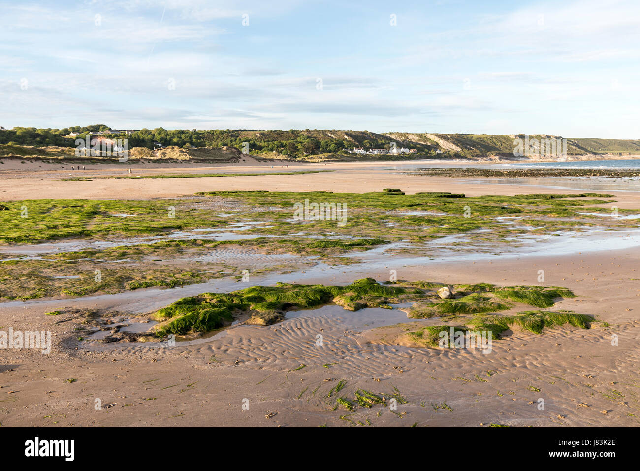 Spiaggia di Port Eynon a bassa marea, Gower, Wales, Regno Unito Foto Stock