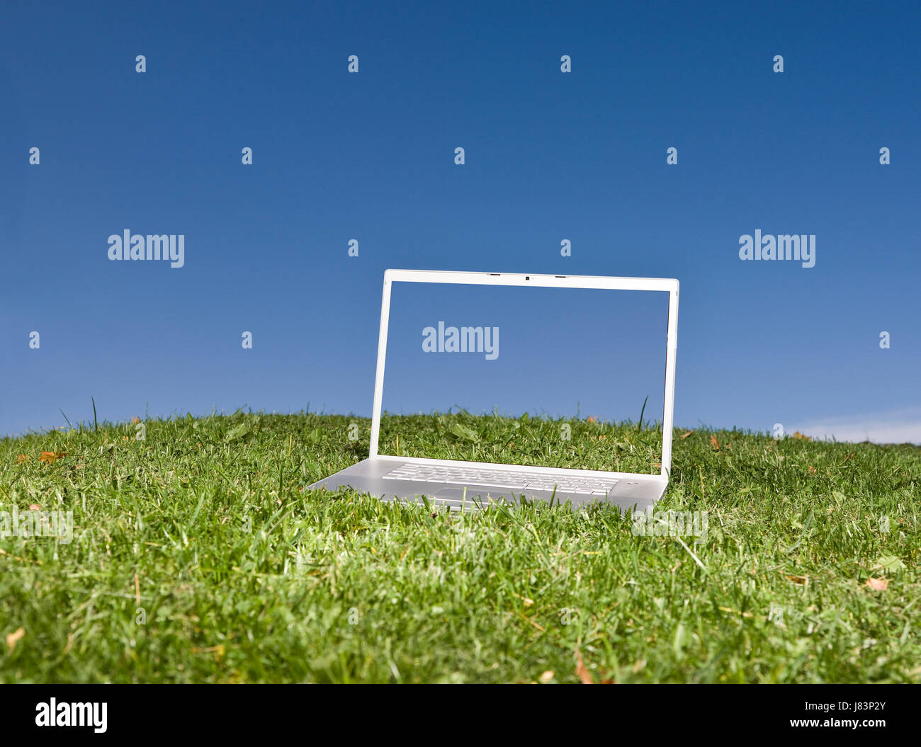 Ufficio blu laptop computer notebook computer PC leaf ambiente di istruzione Foto Stock