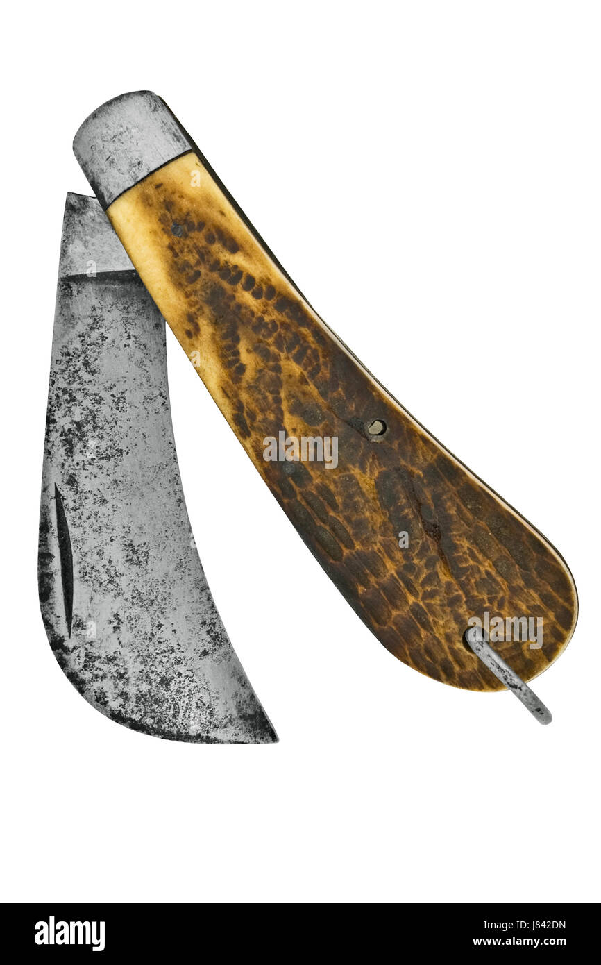 Utensile a lama di avorio crooked orditi gobbo humpbacked piegò ricurva Foto Stock