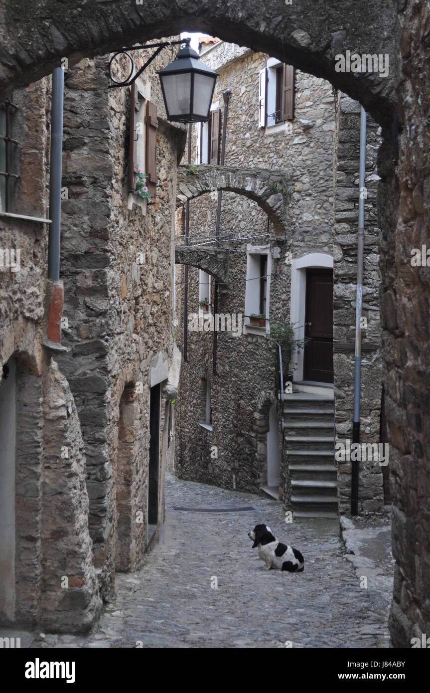 Città medievale della città vecchia di Genova città stretta città vintage centro cinofilo vista Foto Stock