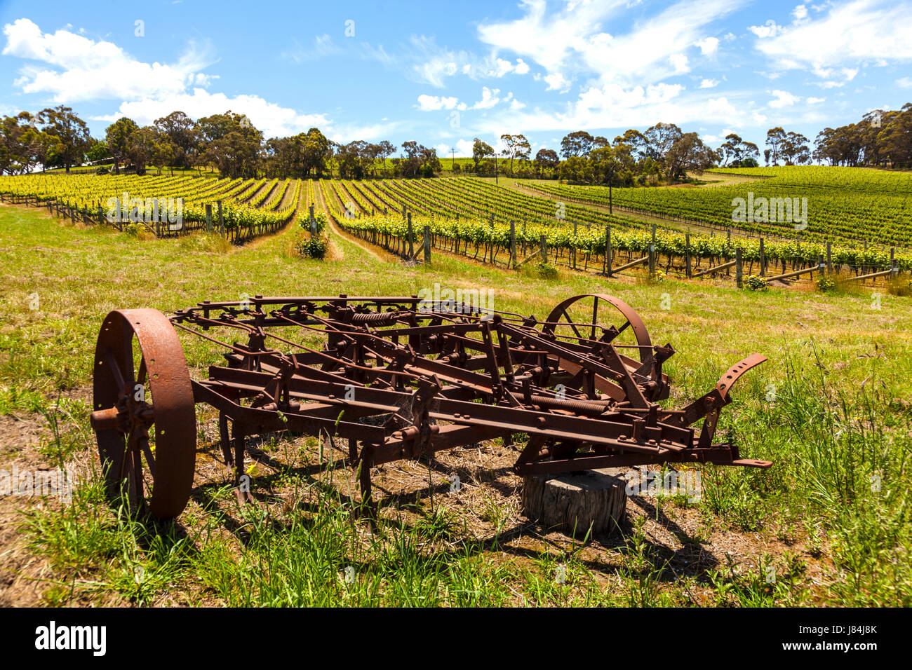 Rusty harvester abbandonata vicino vigneto in Sud Australia Foto Stock