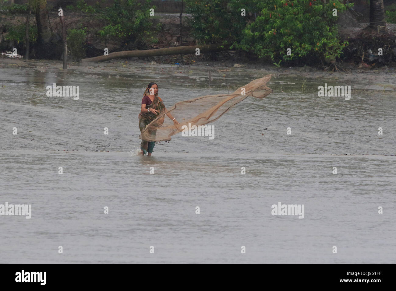 Una donna si ritiene che le catture di pesci in un canale in Sunderbans, un sito Patrimonio Mondiale dell'UNESCO e un santuario della fauna selvatica in Bangladesh Foto Stock