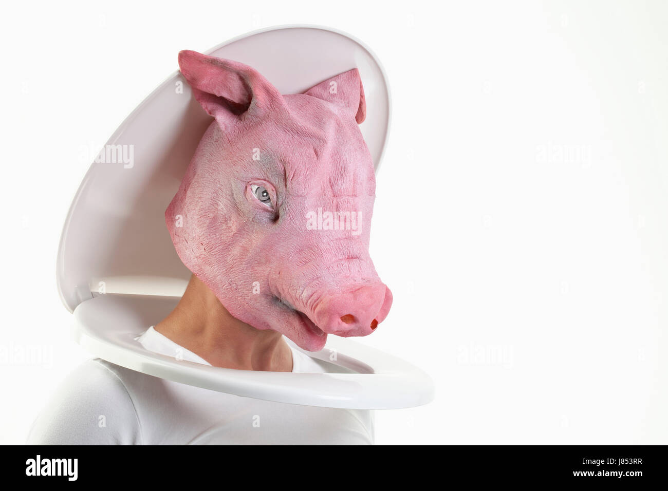 Bagno di fango sedile di gabinetto pittogramma il pittogramma del commercio maschera simbolo di salute di maiale Foto Stock