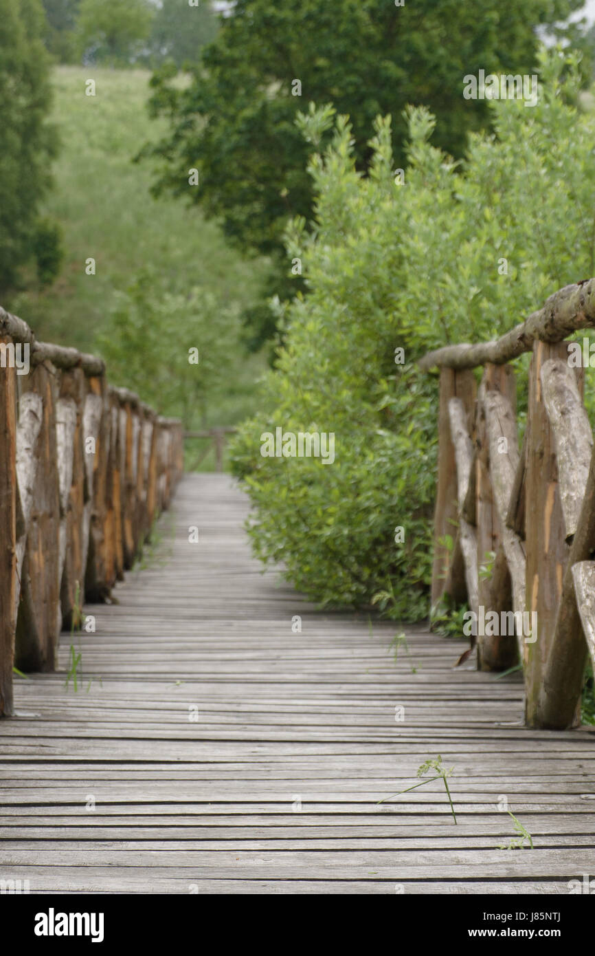 Tela ponte passerella ponte in legno tela fascio salì il percorso natura boardwalk Foto Stock