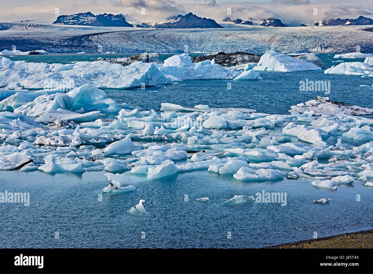 Laguna glaciale, Jökulsárlón, Austurland, Isola Foto Stock