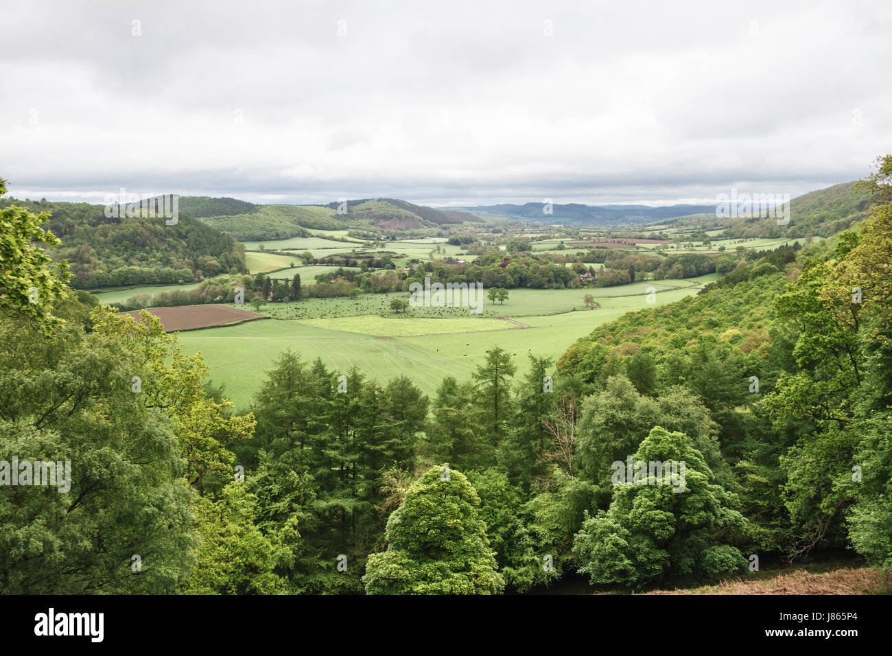 Lungo la Offa's Dyke Path. Una vista su Knill e la valle Hindwell da Herrock colle nei pressi di Kington, Herefordshire, UK. Un nuvoloso giorno di maggio. Foto Stock