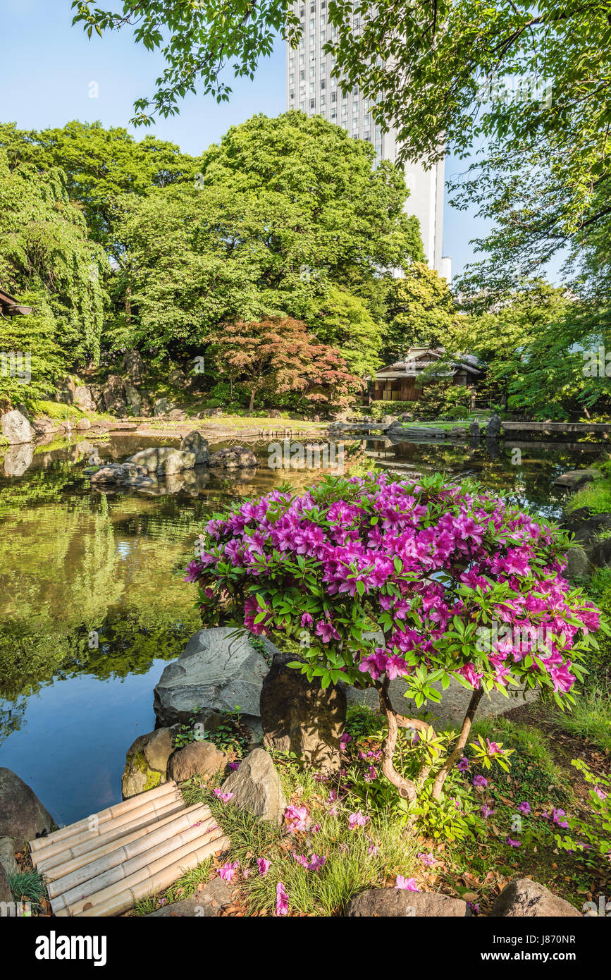Shinchi Teien o Giardino Sacro dello Stagno al Santuario Yasukuni in Primavera, Tokyo, Giappone Foto Stock