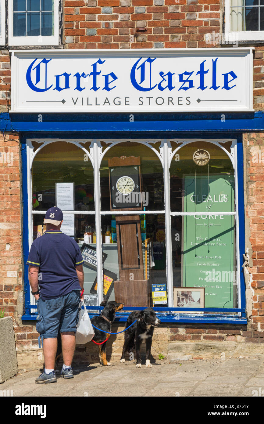 Uomo con due cani cercando all'interno di Corfe Castle Village negozi a Corfe Castle, Dorset nel Maggio Foto Stock