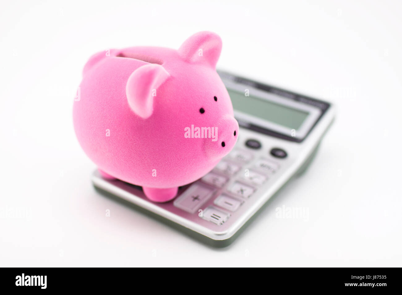 Banca, istituto di credito, economico, isolato, calcolatrice, animale, Coin, Foto Stock