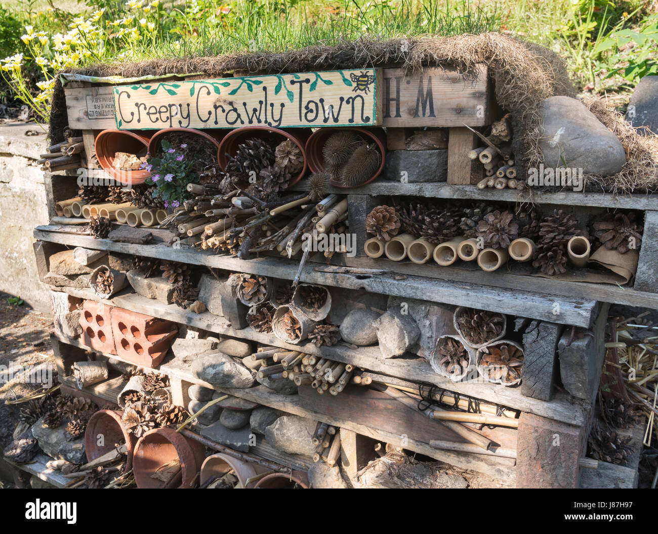 Hotel di bug o Creepy Crawly Town, Wharton Park, Durham, England, Regno Unito Foto Stock