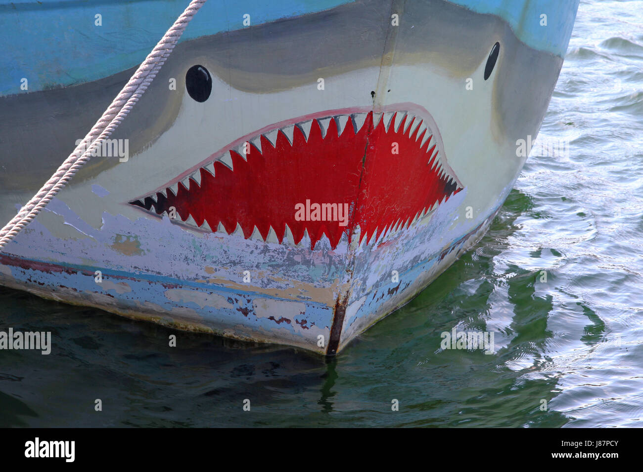 Shark su una nave di prua Foto Stock