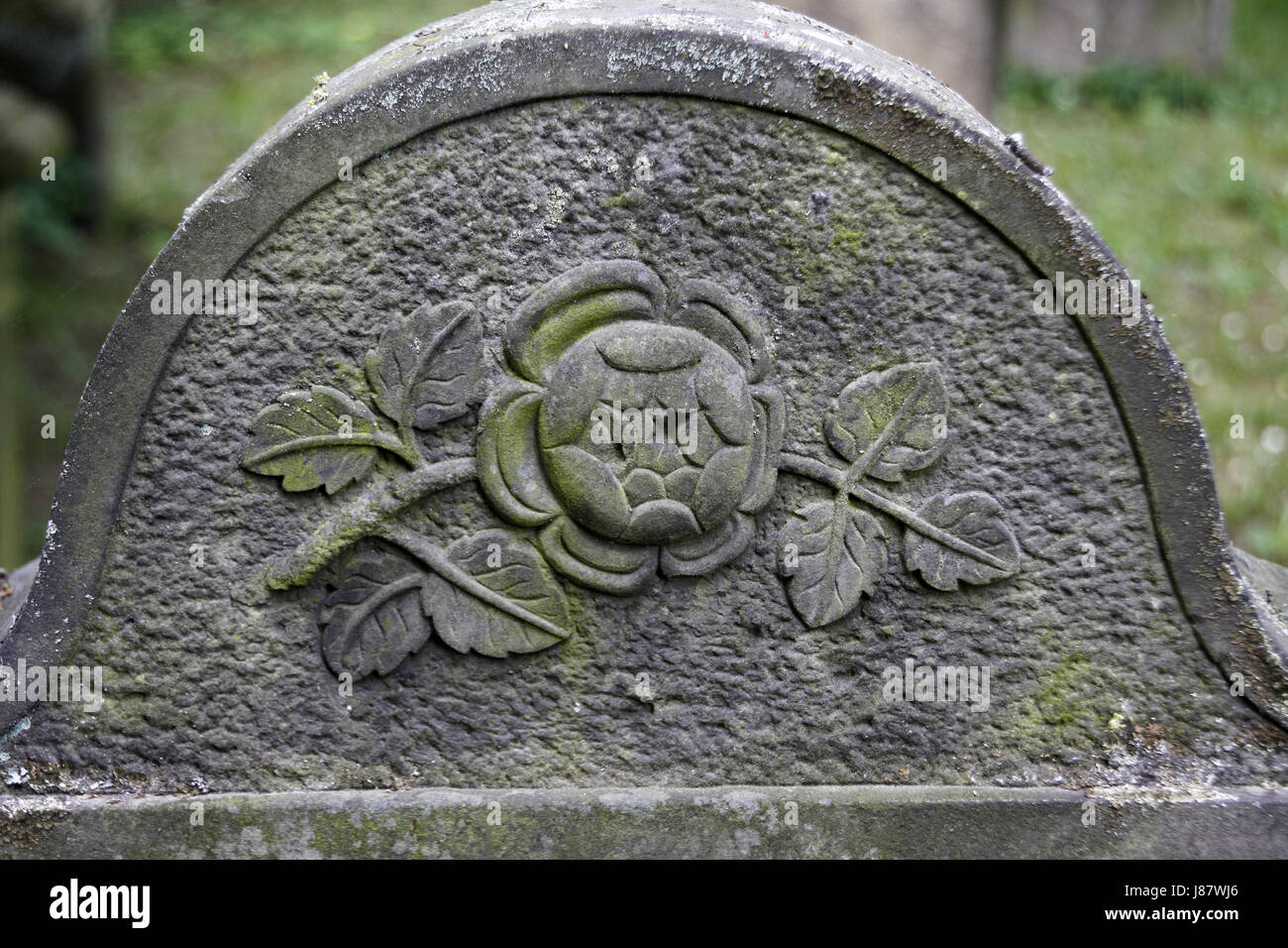 Fiore, impianto, rose, pietra tombale, oggetto contrassegnato per la rimozione definitiva, ebraica e il pittogramma, simbolo Foto Stock