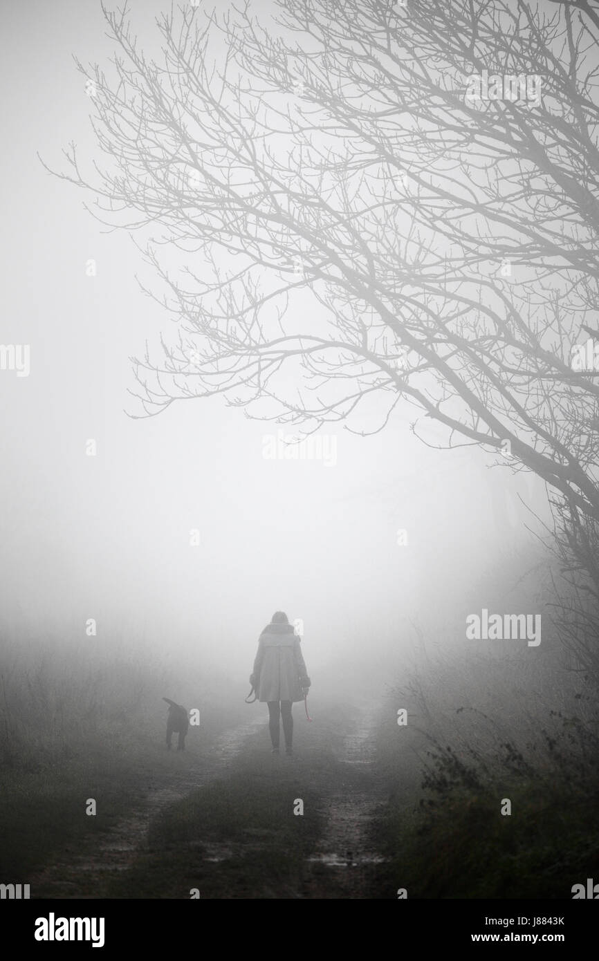 Donna che cammina lungo la Peddar modo del percorso nella fitta nebbia con il suo cane. Foto Stock