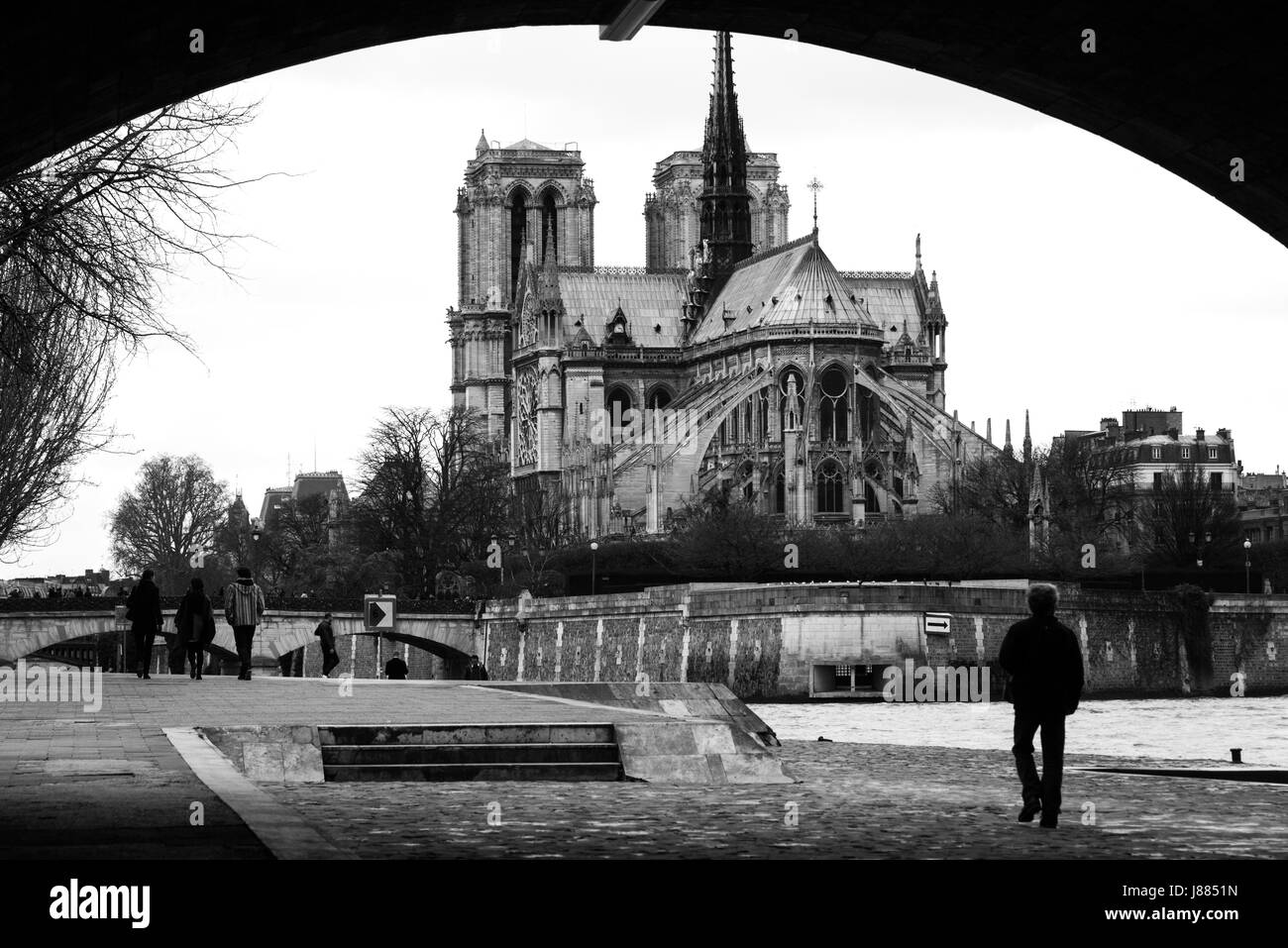 La cattedrale di Notre Dame di Parigi, Francia Foto Stock