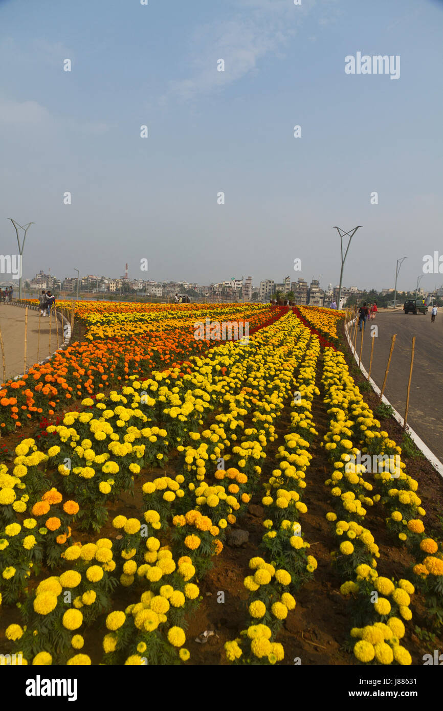 Aiuola e vista parziale del Hatirjheel Progetto di sviluppo nella città di Dhaka prima dell'inaugurazione. Dacca in Bangladesh Foto Stock