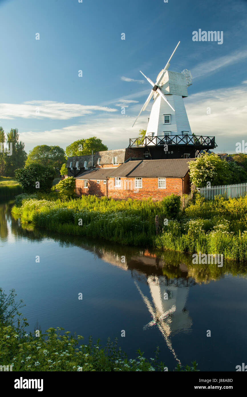 La molla pomeriggio al patibolo mulino in segale, East Sussex, Inghilterra. Foto Stock