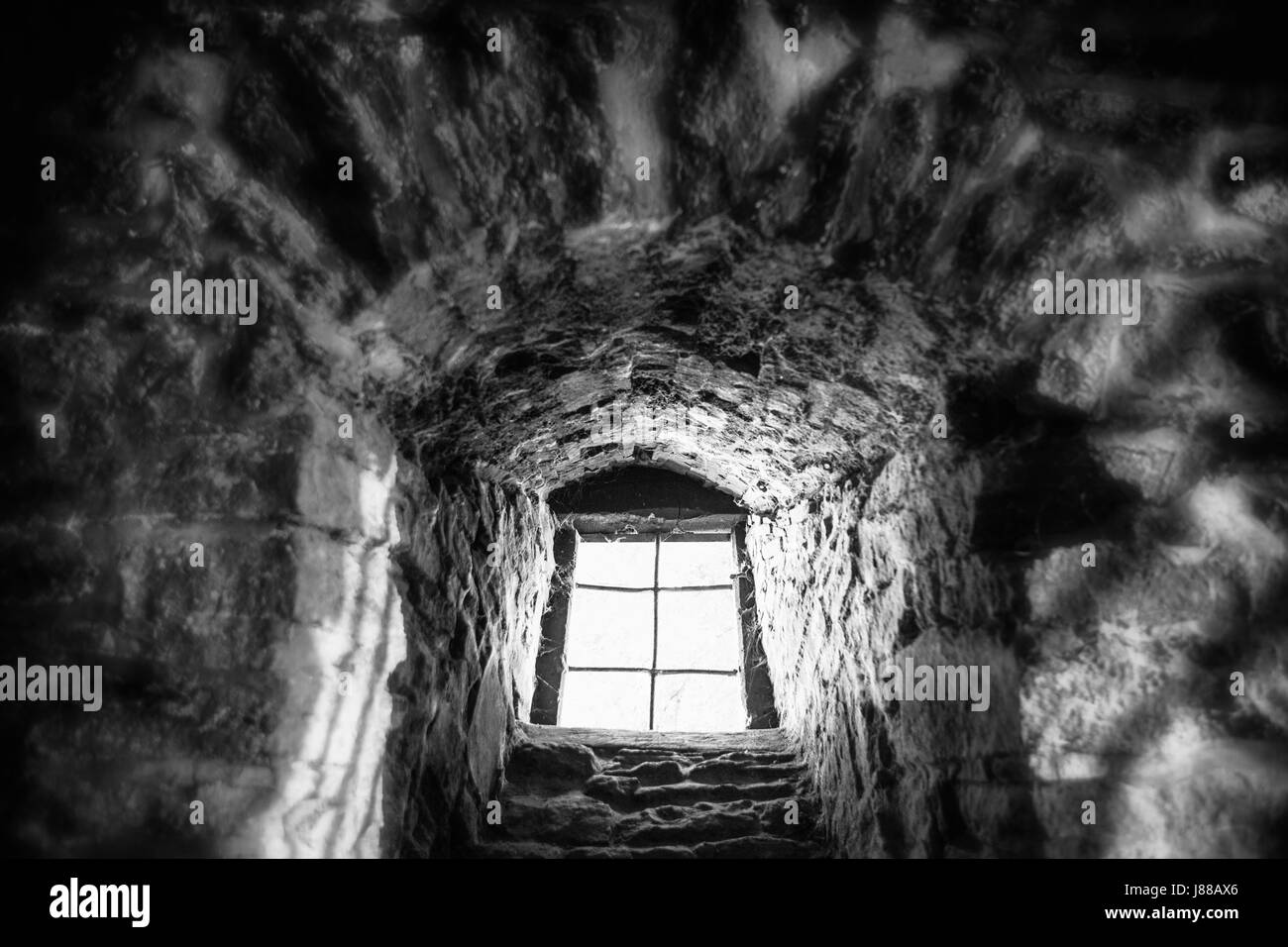 Una cantina di un vecchio castello, Germania, Europa Foto Stock