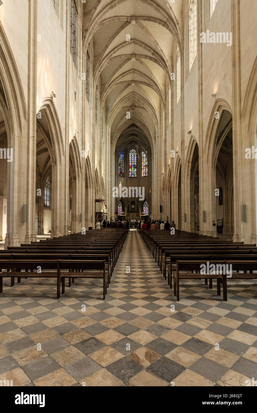 Francia, Loiret, Clery-Saint-Andre, la Basilica di nostra Signora di Clery, la navata centrale Foto Stock
