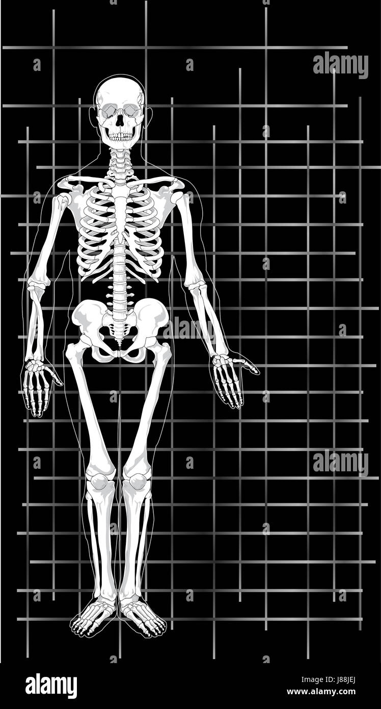 Medico, medico, medic, medico practicioner, insegnante, salute, arte, Foto Stock