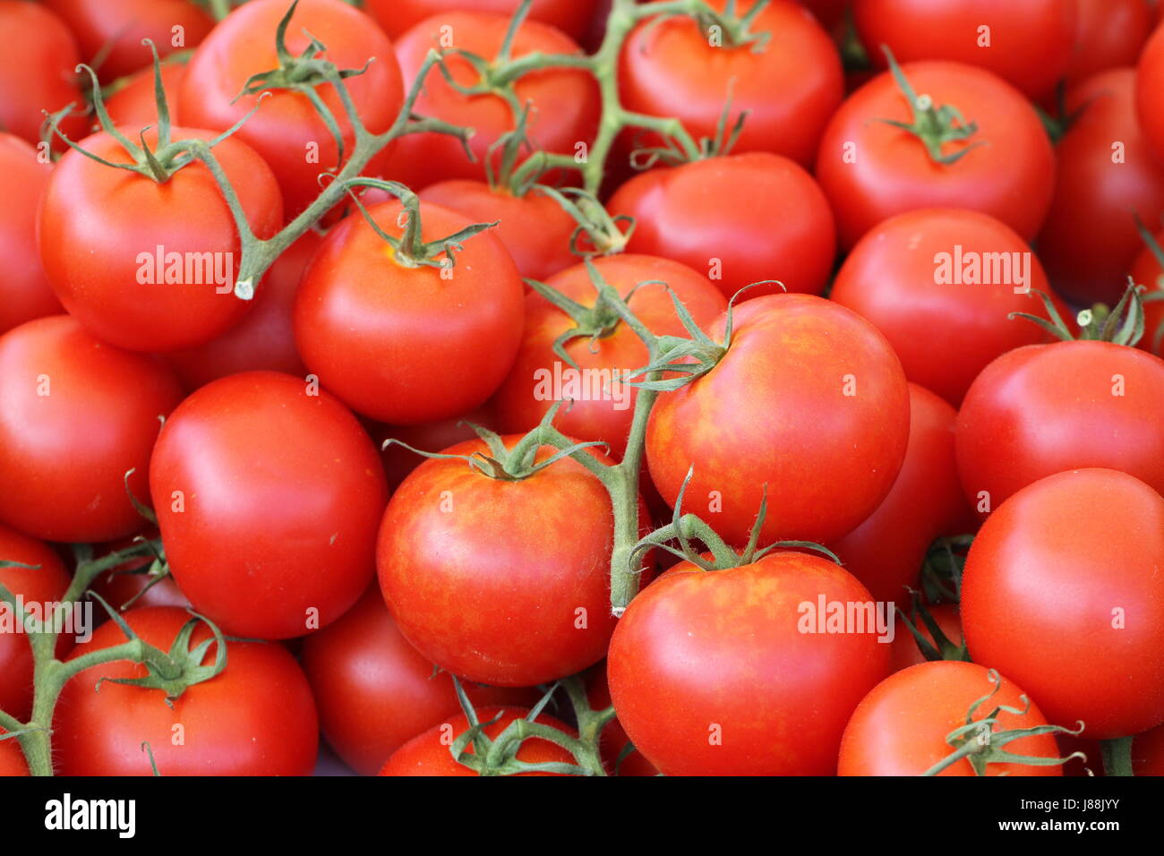 Verdure, pomodori, i pomodori, rosso, sano cibo, aliment, oggetto, macro, Foto Stock