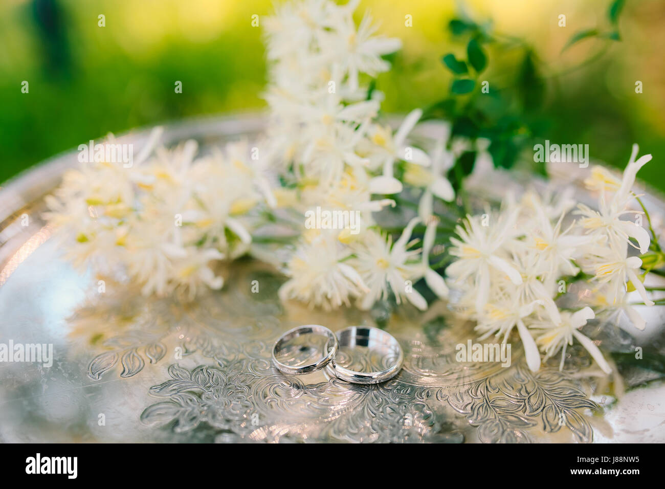 Gli anelli di nozze i fiori di gelsomino su un argento metallico