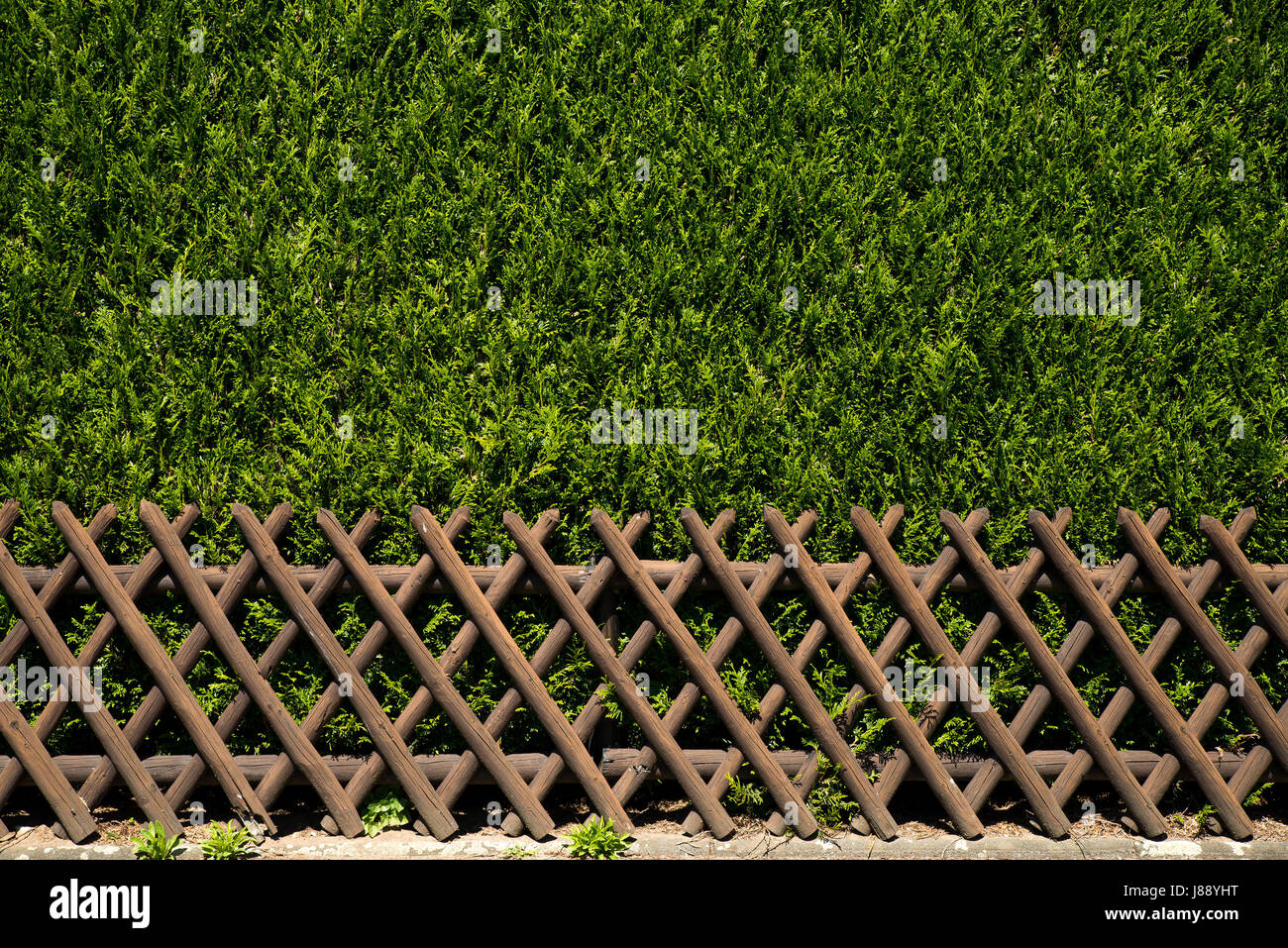 Vista di un rustico in legno recinto con cespugli verdi come seconda riga Foto Stock