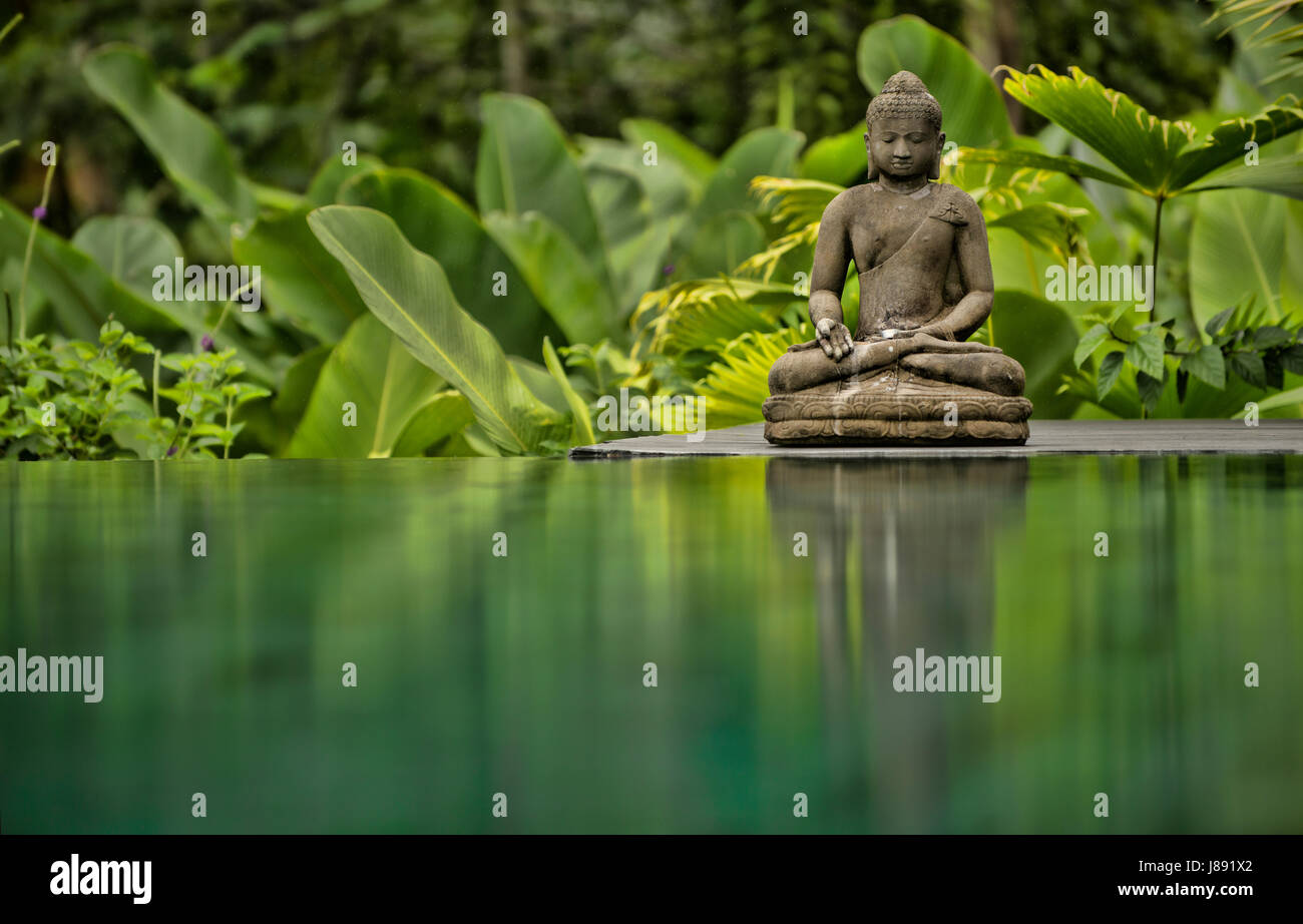 Una statua di Buddha si siede di fronte a una piscina riflettente. Foto Stock