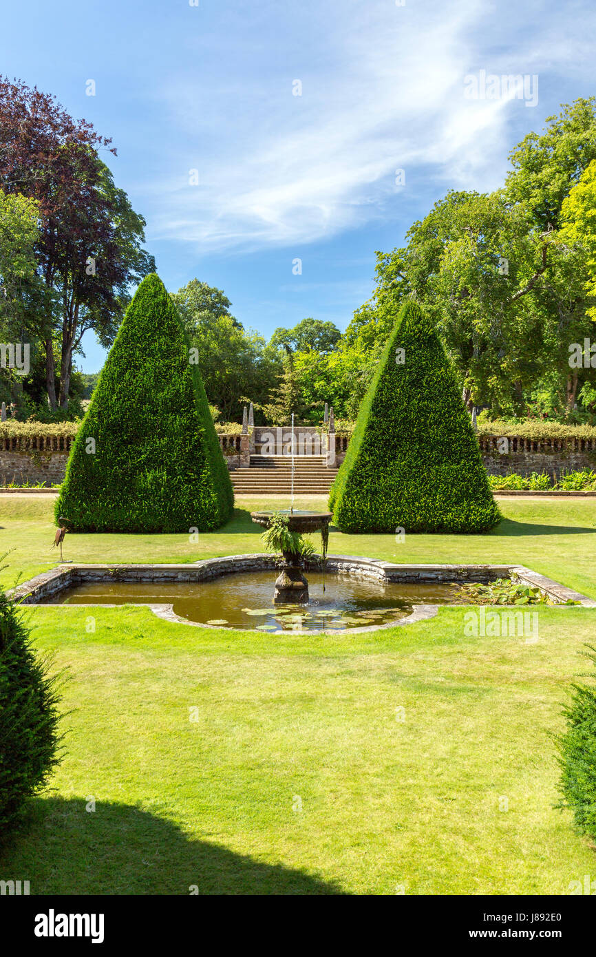 La Great Court è un giardino sommerso riempita con una collezione di forma triangolare yew alberi a casa Athelhampton, Dorset, Inghilterra Foto Stock