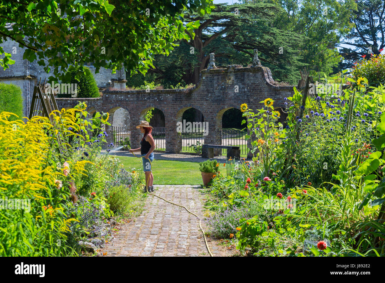 Una signora giardiniere annacquare le frontiere in orto a casa Athelhampton, Dorset, Inghilterra Foto Stock