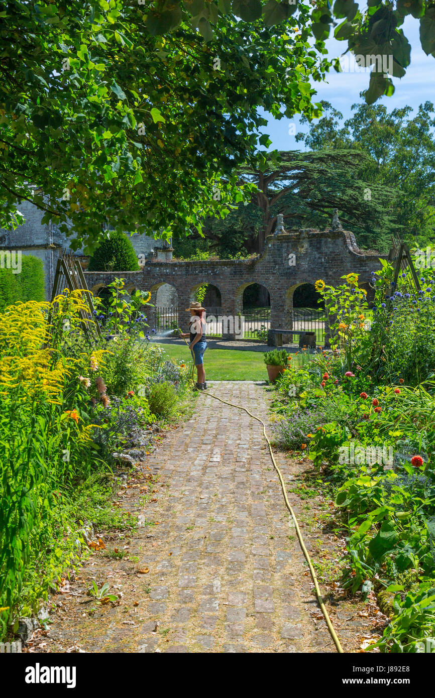Una signora giardiniere annacquare le frontiere in orto a casa Athelhampton, Dorset, Inghilterra Foto Stock