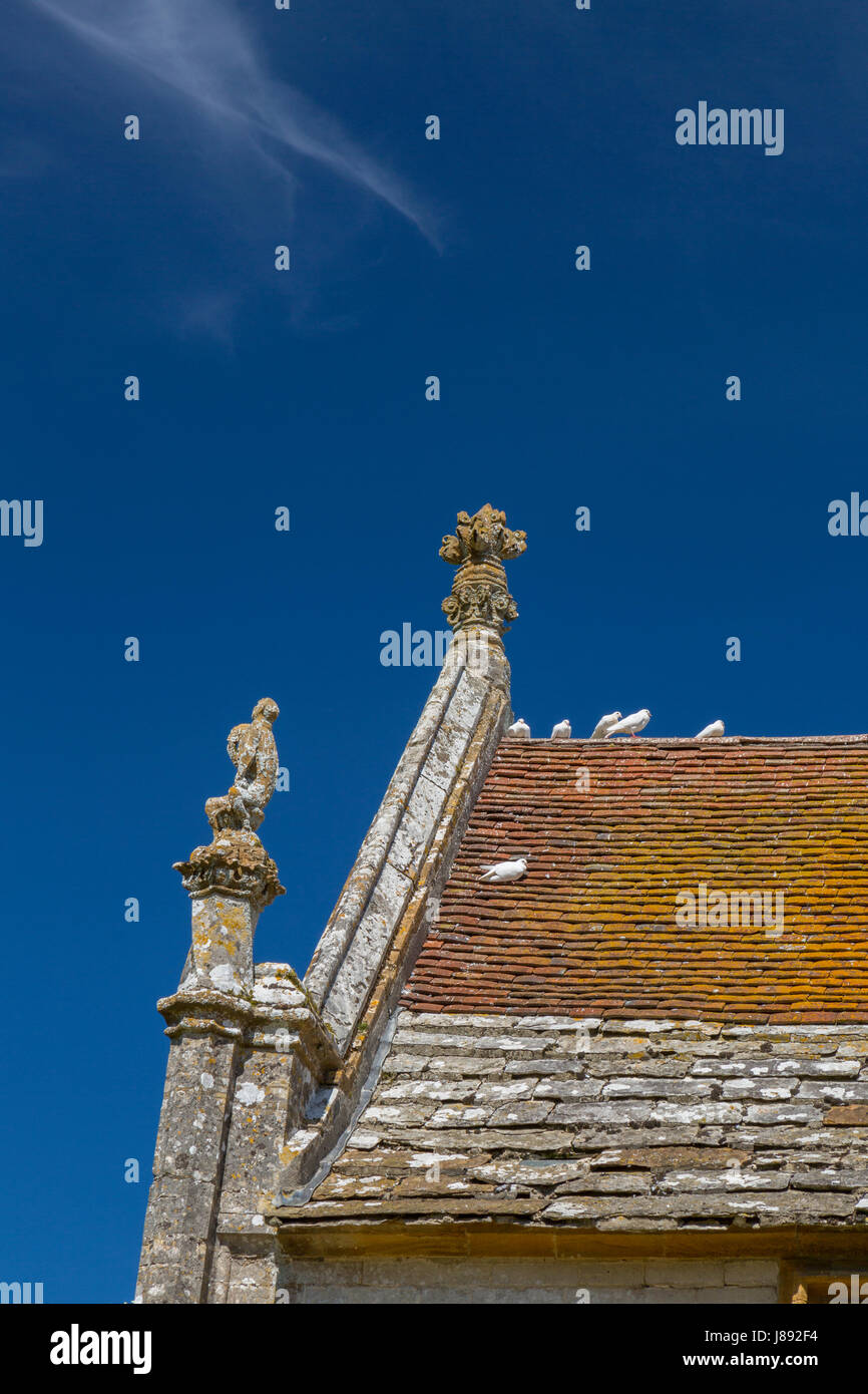 Colombe bianche a riposo sul tetto della storica casa Athelhampton, Dorset, Inghilterra Foto Stock