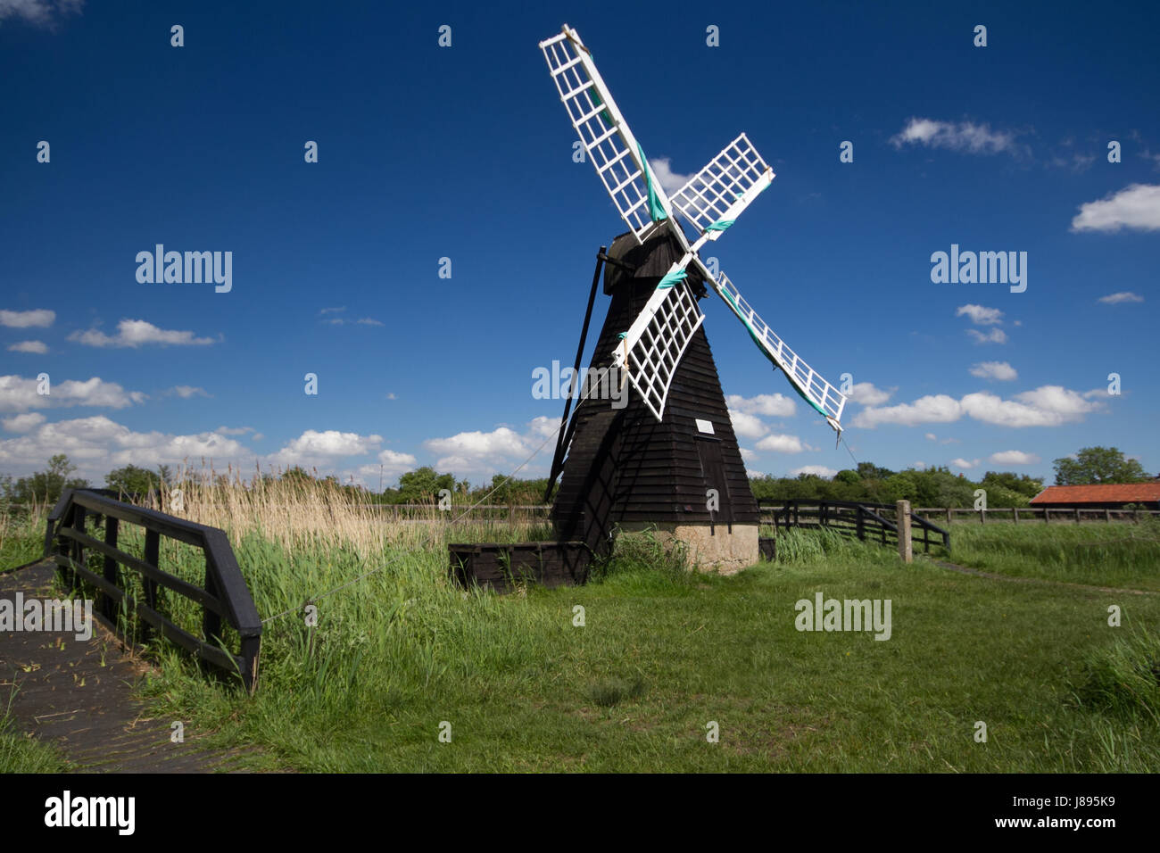 Il mulino a vento a Wicken Fen, Cambridgeshire Regno Unito Foto Stock