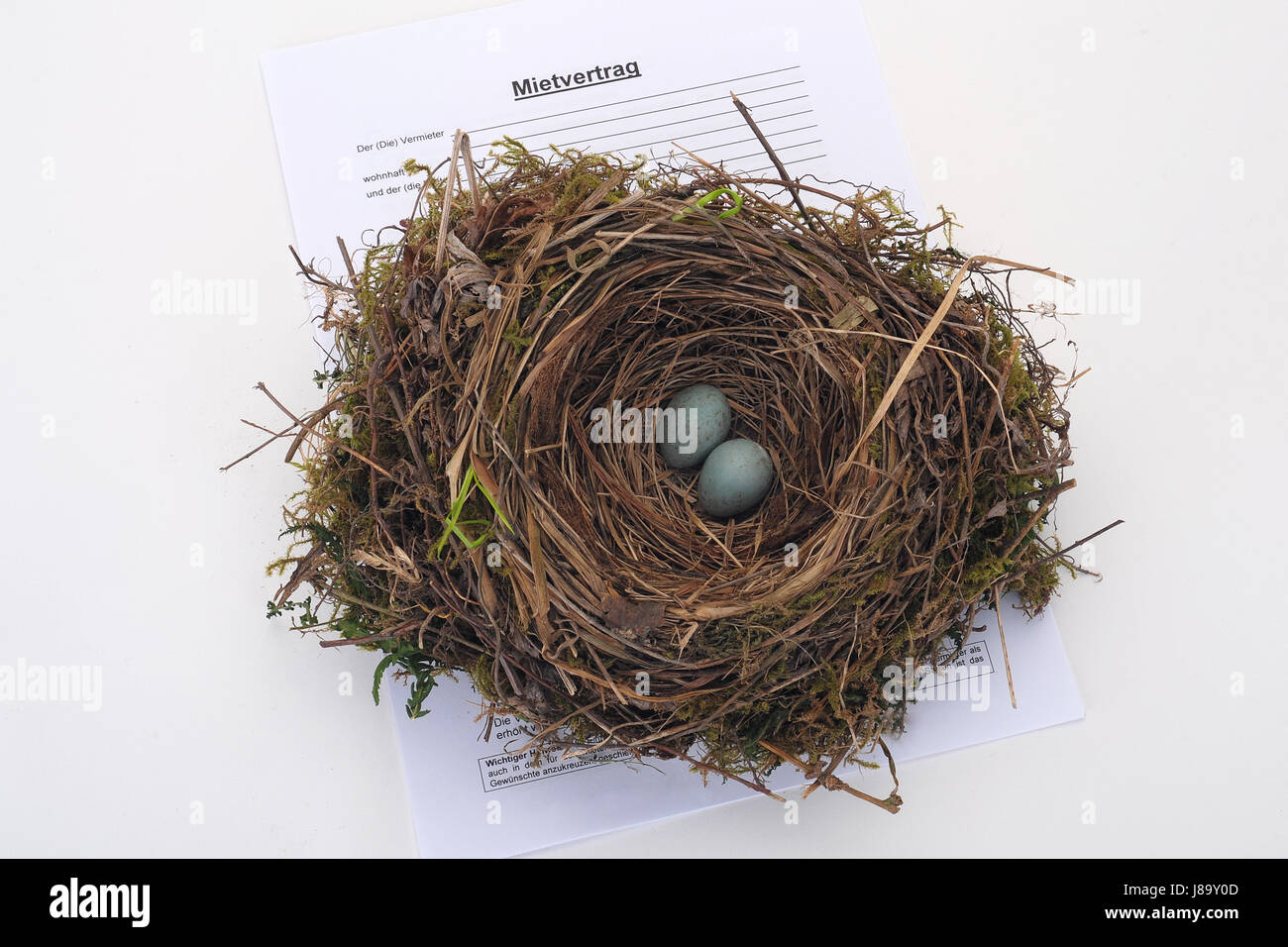 Ricerca appartamenti Foto Stock