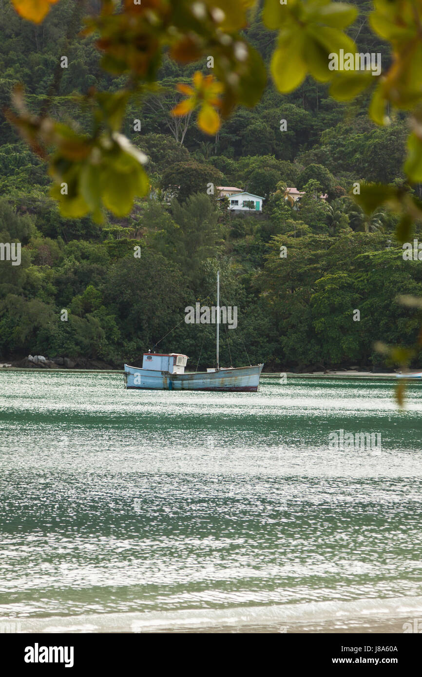 Seychelles, acqua salata, mare oceano, dell'acqua, spiaggia, mare, spiaggia, mare, Foto Stock