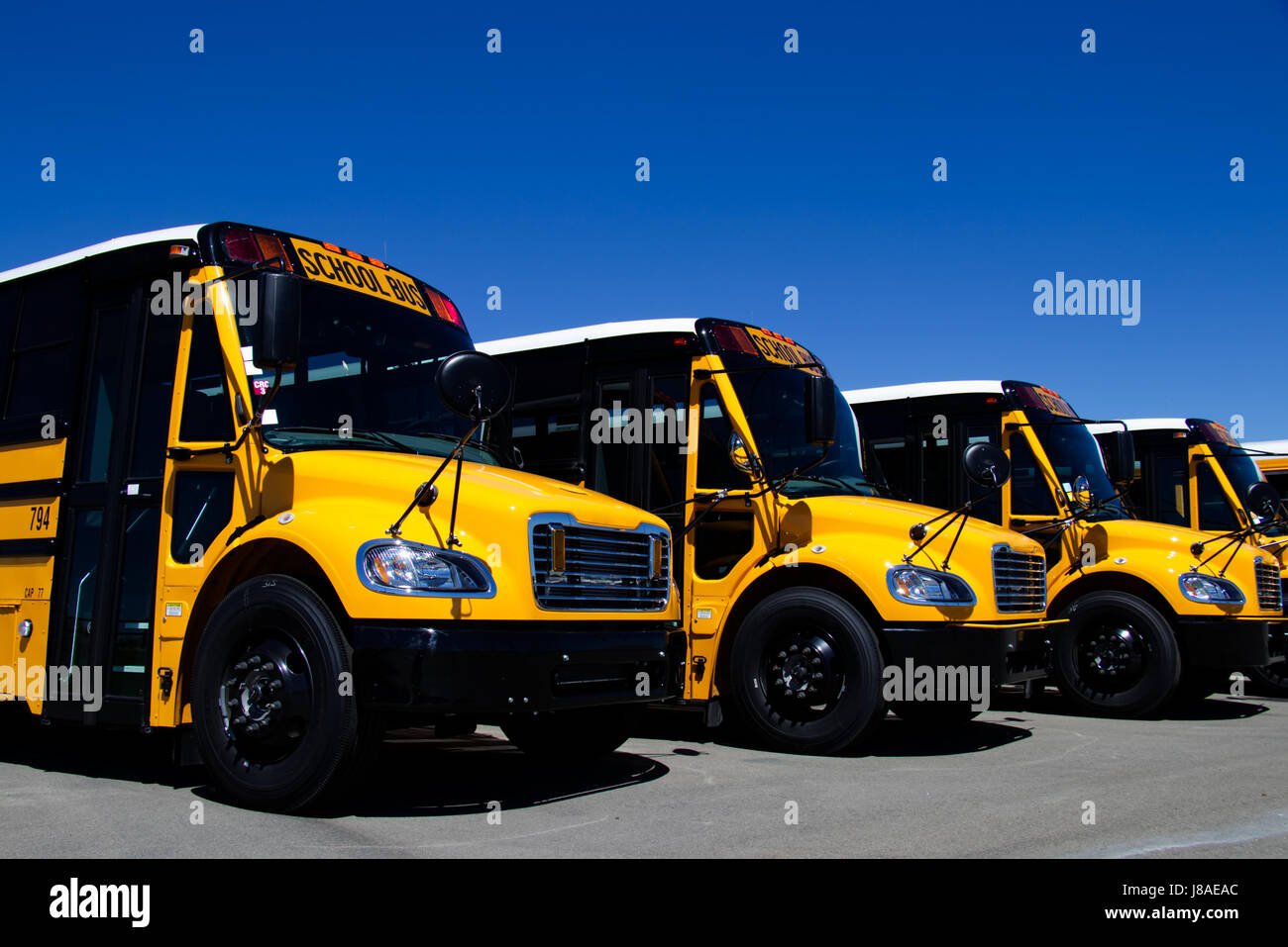 Fila di nuovo American School Bus schierate al di fuori di una concessionaria vicino a Denver, Colorado, Stati Uniti d'America. Foto Stock