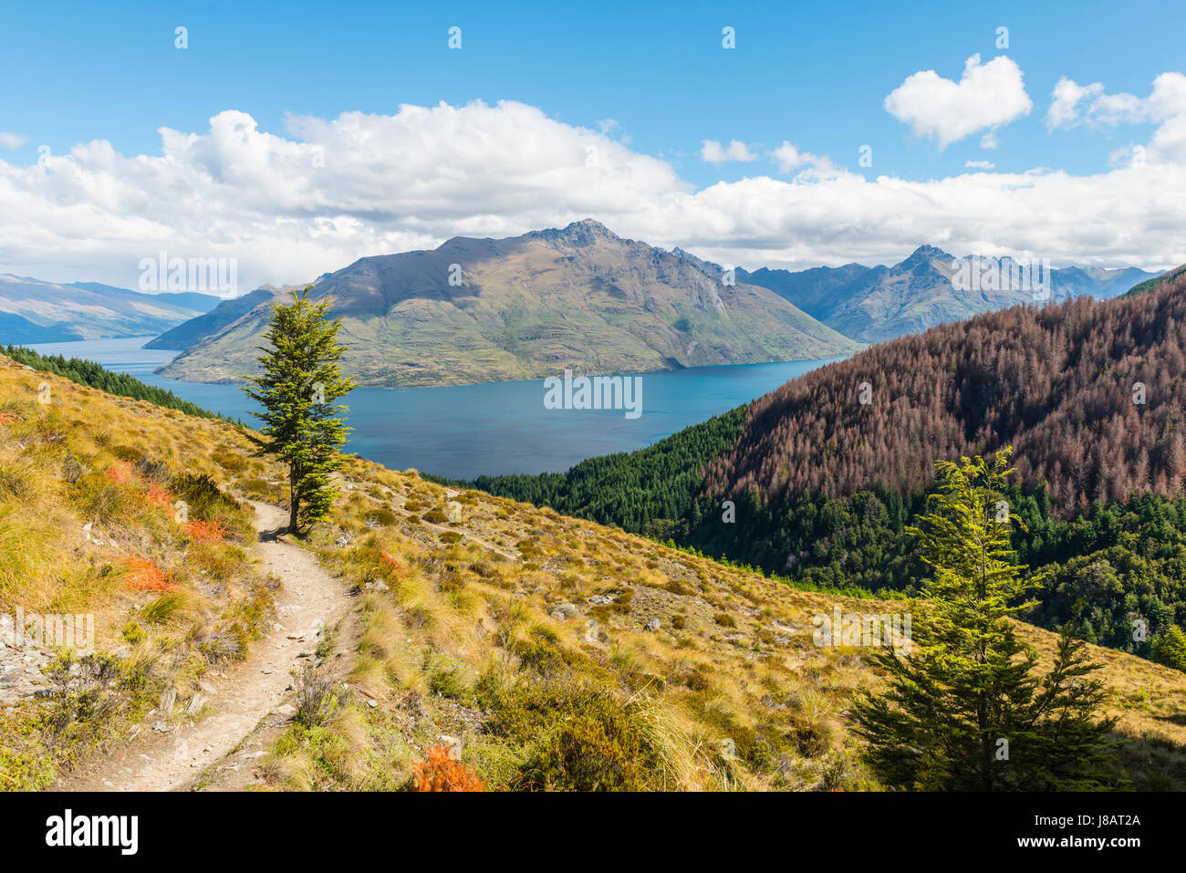 Vista del lago Wakatipu, sentiero escursionistico di Ben Lomond, Otago, Isola del Sud, Nuova Zelanda Foto Stock