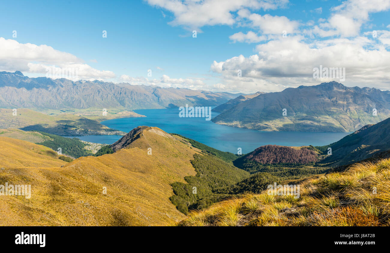 Vista del lago Wakatipu e la gamma della montagna il Remarkables, la foresta e la montagna, Ben Lomond, Alpi del Sud, Otago, Isola del Sud Foto Stock
