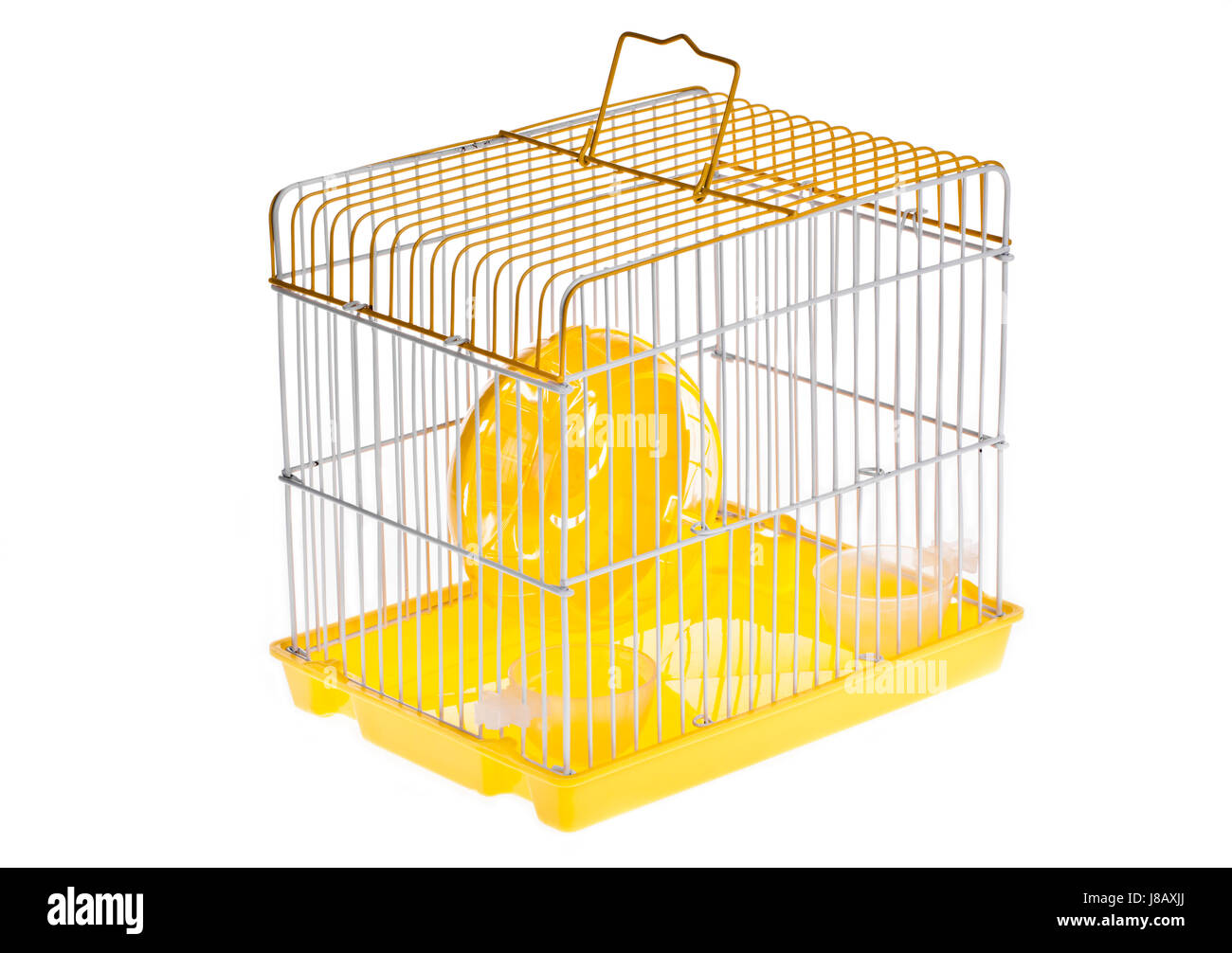 All'interno, ruota, finestra, oblò, abbaino, riquadro, animali, orizzontale Foto Stock