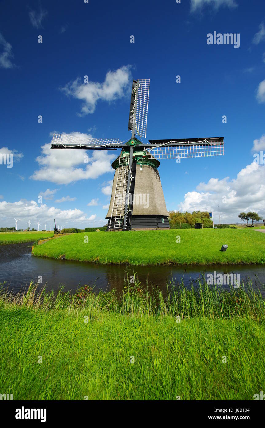 Mulino a vento olandese in groet,North Holland Foto Stock