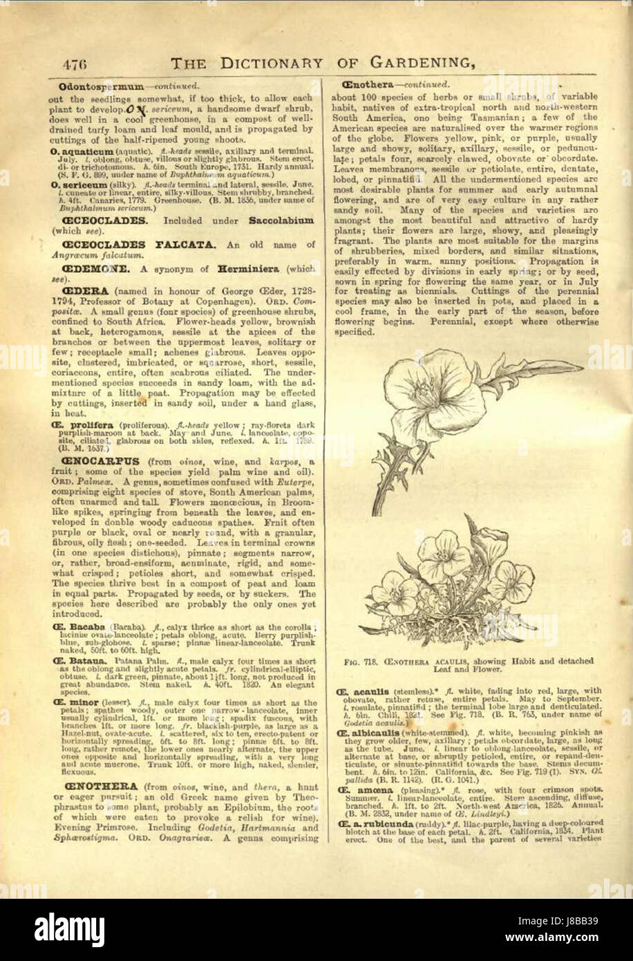 George Nicholson01 Foto Stock