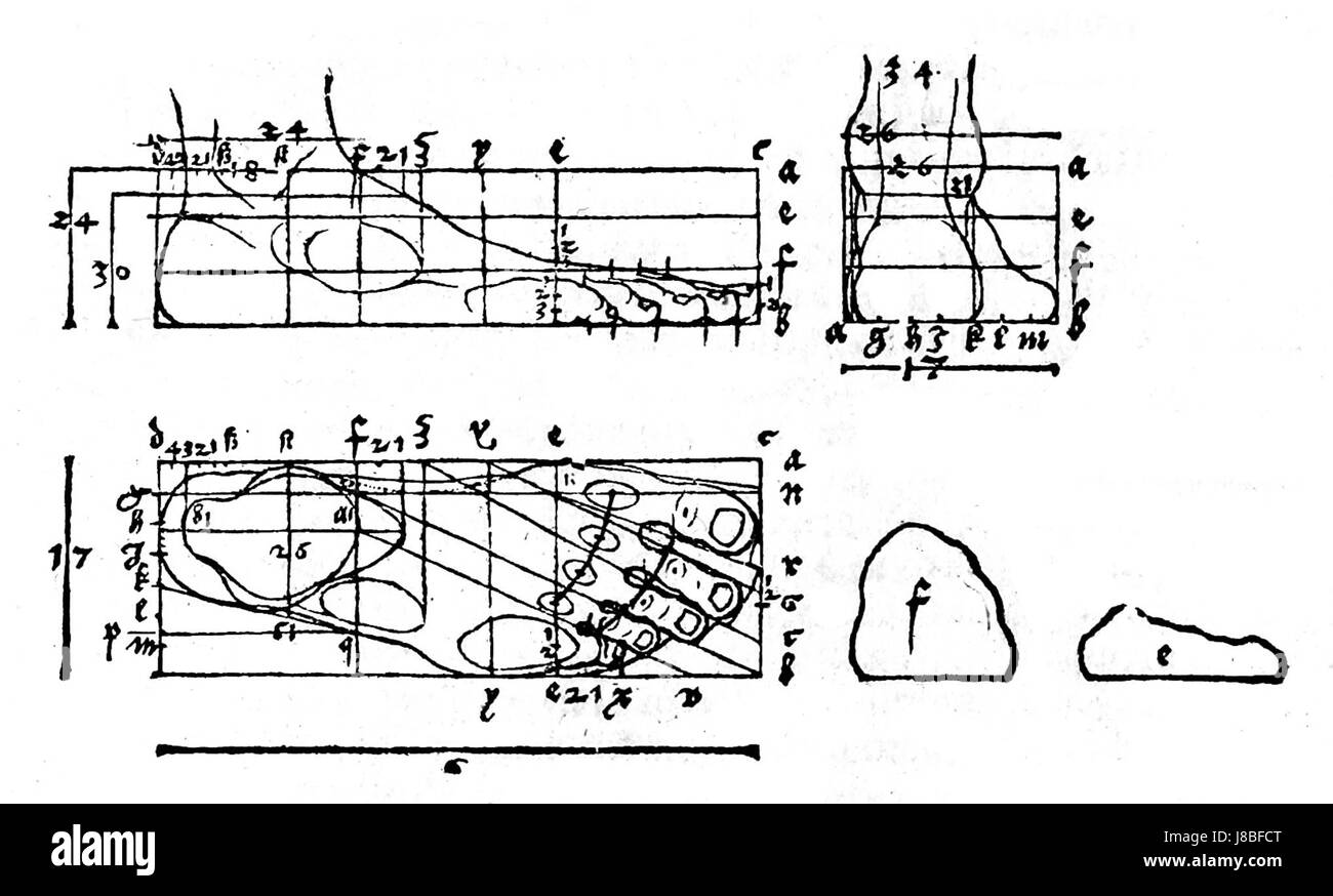 Un'illustrazione o un'opera raffigurante il piede di una figura, forse parte di un'incisione o stampa di Albrecht Dürer. Questo lavoro può mostrare la rinomata abilità di Dürer nel rendere dettagliata l'anatomia e la forma umana nel suo stile artistico iconico. Foto Stock