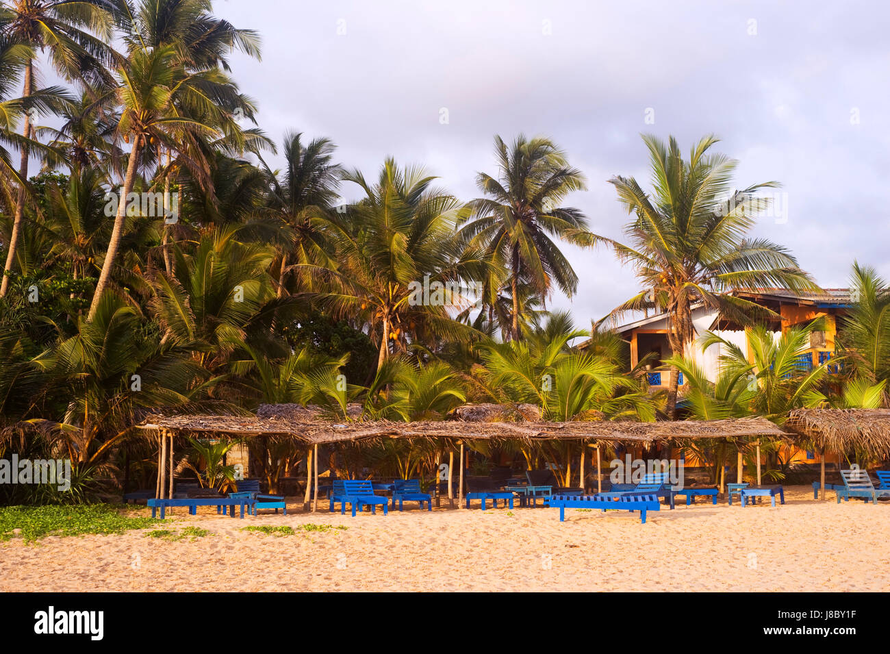 House, un edificio bellissimo, beauteously, Nizza, edifici, città, albero, Foto Stock