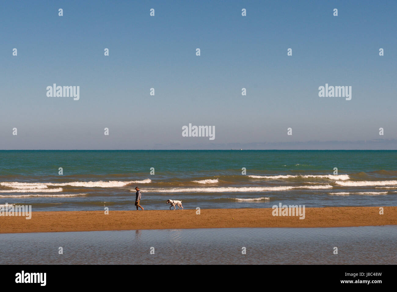 Il cane spiaggia sul lago Michigan, Chicago STATI UNITI D'AMERICA Foto Stock