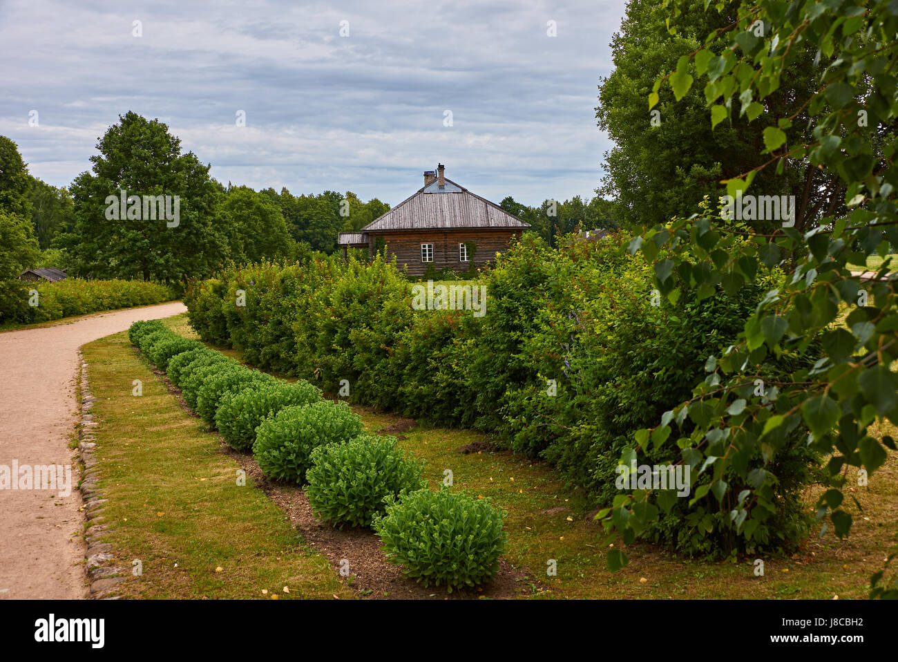 Cespugli verdi a forma di sfera crescere lungo il percorso.sullo sfondo uno piani casa in legno con un tetto inclinato è visibile.La Russia,Pskov Regione Foto Stock