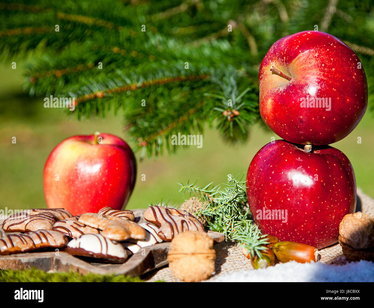 Avvento, mele, Apple, decorazione, mela cotta, panpepato, autunno autunno, Foto Stock