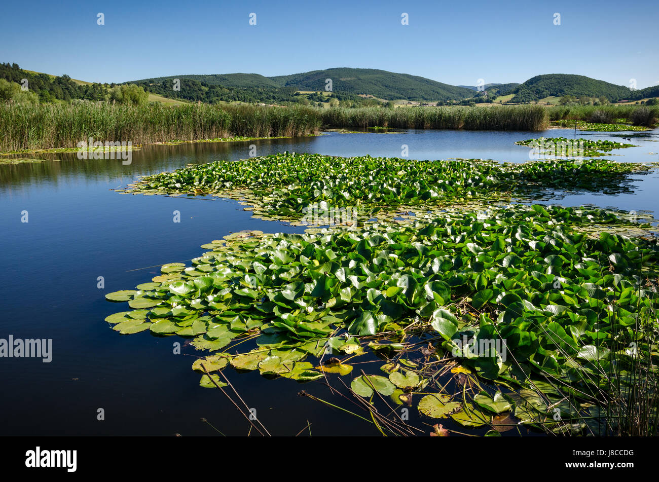 Parco di Colfiorito Umbria Foto Stock