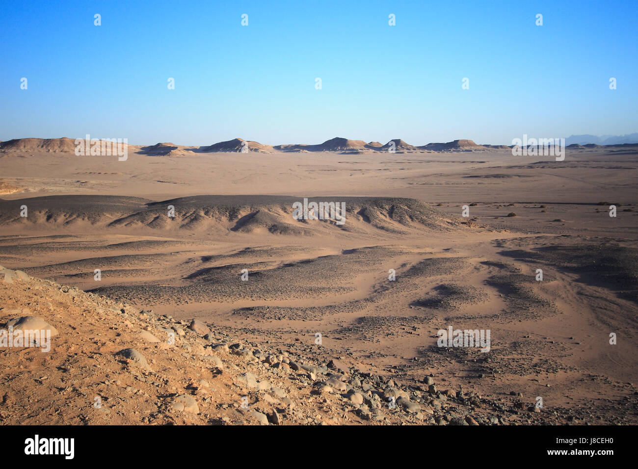 Deserto Deserto, sabbie, la sabbia, la roccia, blu, vita, esistono, esistenza, vivendo, Foto Stock